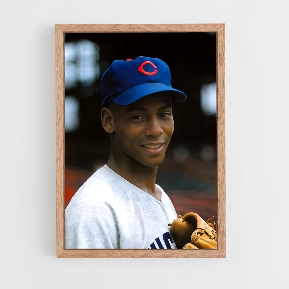 Poster Le Petit Lanceur – affiche Baseball (vue 4)